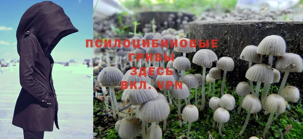 прущие крисы Богородицк