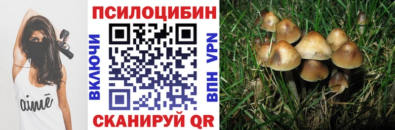 Галлюциногенные грибы Psilocybe Олонец